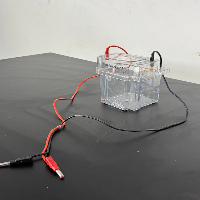 Invitrogen XCell SureLock Electrophoresis Mini Cell image 1